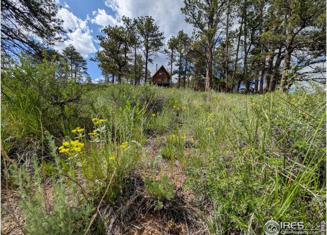 Property at 2898 Red Ashby Rd, Livermore, CO 80536