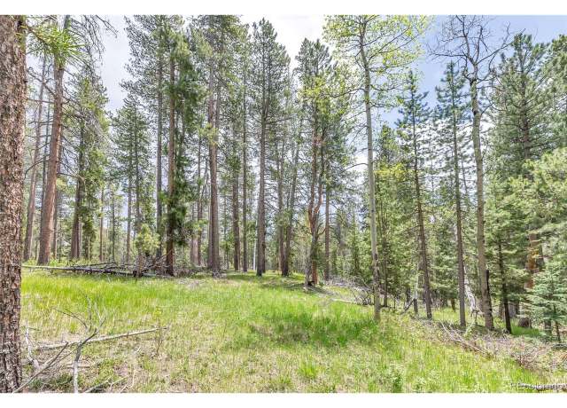 Property at 12 Indian Springs Rd, Conifer, CO 80433