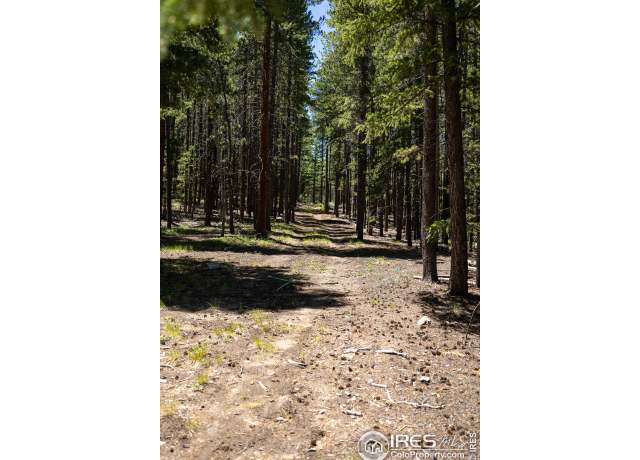 Property at 1001 Pactolus Lake Rd, Black Hawk, CO 80422