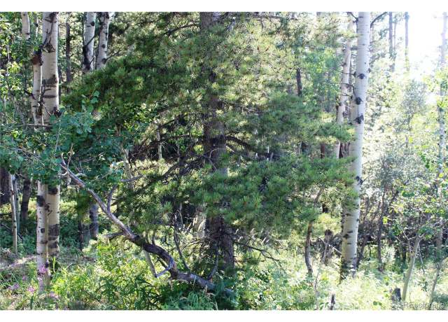 Property at 28 Sunflower Ln, Black Hawk, CO 80422