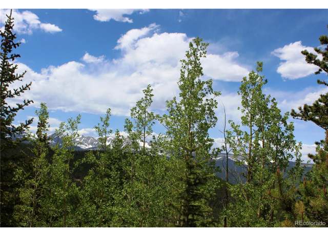 Property at 1 Lamartine Rd, Idaho Springs, CO 80452