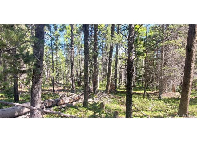 Property at 2914 Forbes Loop, Fort Garland, CO 81133