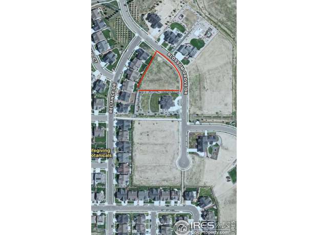 Property at 1956 Blossom Grove Dr, Windsor, CO 80550