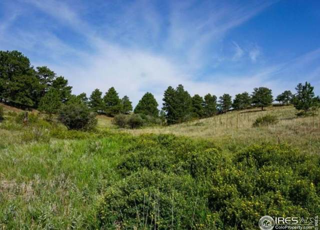 Property at 0 Stub Ct, Livermore, CO 80536
