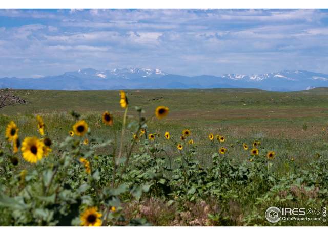 Property at 6 Tbd County Road 122, Carr, CO 80612