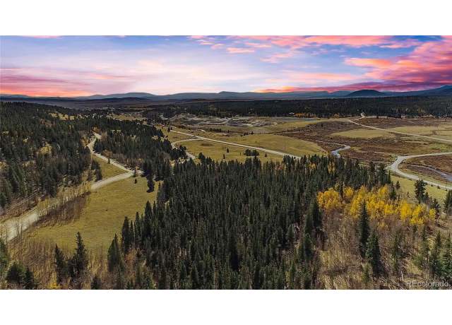 Property at 425 Platte River Dr, Fairplay, CO 80440
