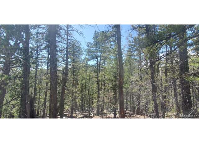 Property at Undisclosed address, Fort Garland, CO 81133
