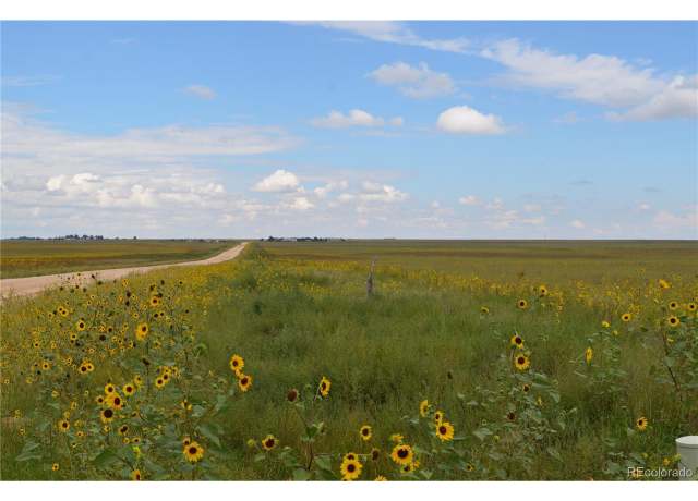 Property at 6 County Rd 2, Rush, CO 80833