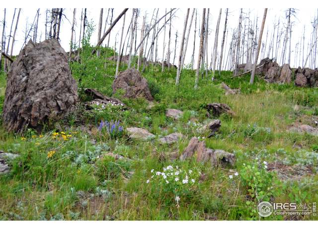 Property at 2025 Granite Rd, Bellvue, CO 80512