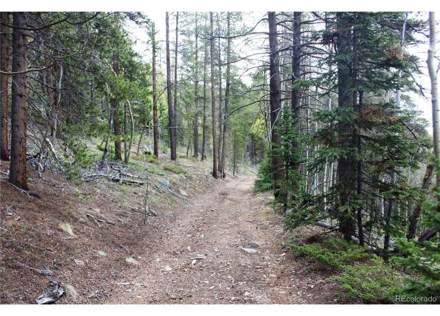 Property at 0 Broomfield Gulch Rd, Black Hawk, CO 80422