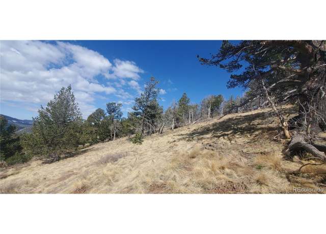 Property at Undisclosed address, Fort Garland, CO 81133