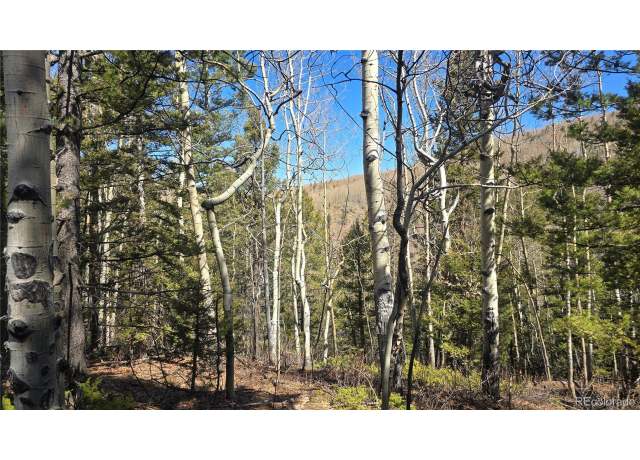 Property at 6708 Debbie Rd, Fort Garland, CO 81133