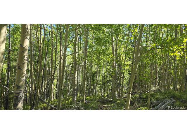 Property at 6708 Debbie Rd, Fort Garland, CO 81133