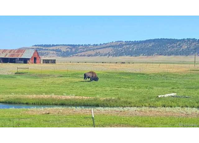 Property at 2674 Black Beaver Rd, Hartsel, CO 80449