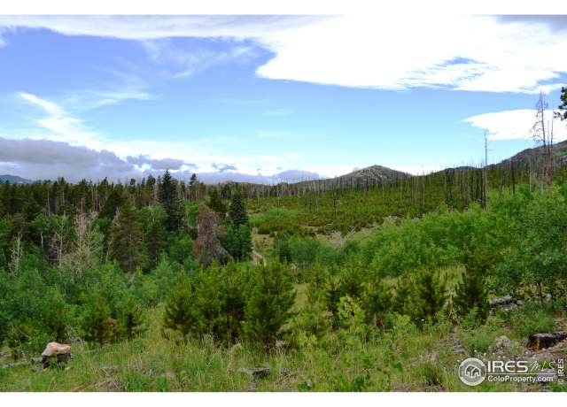Property at 1256 Basking Dog Rd, Bellvue, CO 80512