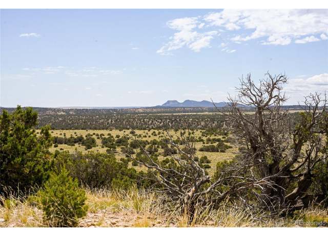 Property at Undisclosed address, Gardner, CO 81040