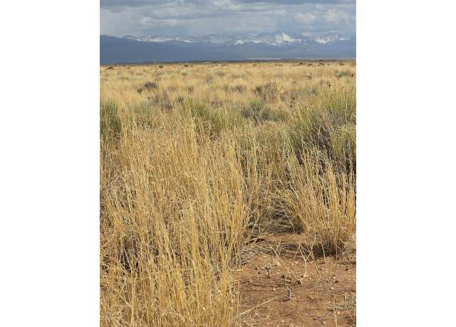 Property at 17 E Denver Rd, Blanca, CO 81123