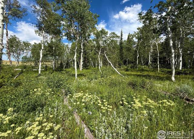 Property at 0 Dewclaw Rd, Red Feather Lakes, CO 80545