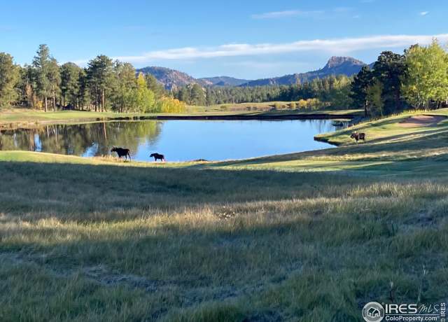 Property at 3020 Lake Arapahoe Ct, Red Feather Lakes, CO 80545