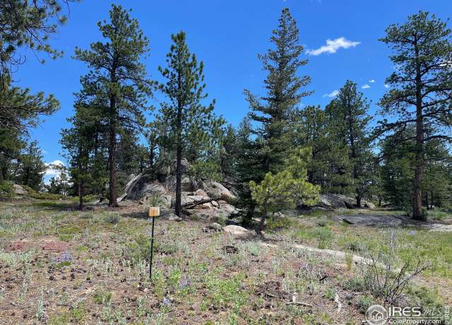 Property at 3020 Lake Arapahoe Ct, Red Feather Lakes, CO 80545