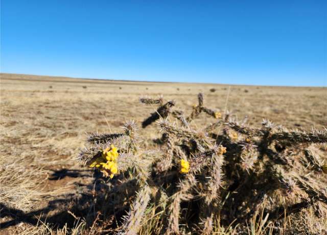 Property at 1 CO Rd 103, Walsenburg, CO 81089