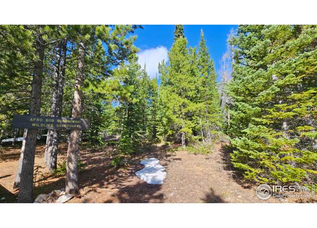 Property at 0 Forest Service 169 Rd #7, Red Feather Lakes, CO 80545