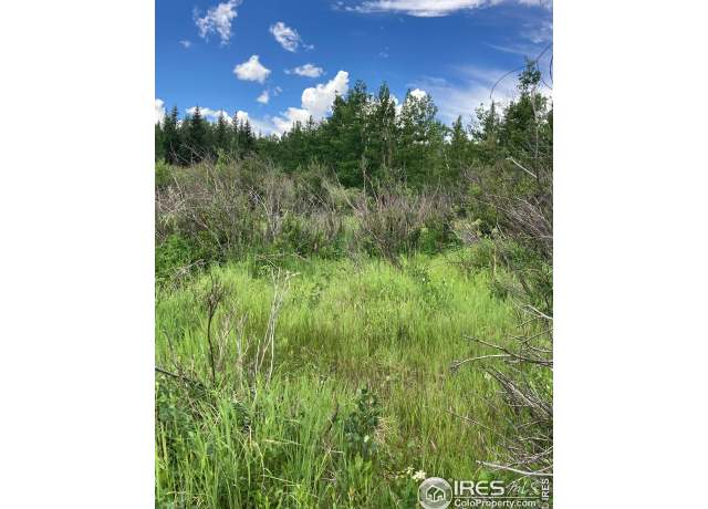 Property at 411 Tesuque Trl, Red Feather Lakes, CO 80545