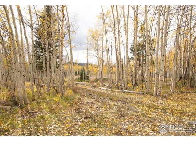 Property at 411 Tesuque Trl, Red Feather Lakes, CO 80545