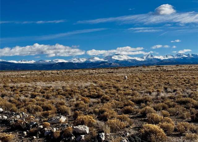 Property at 10 Ninth St, Blanca, CO 81123