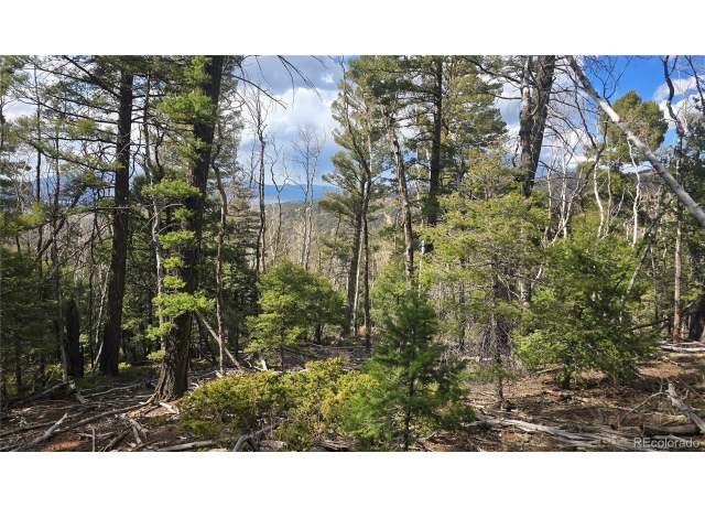Property at 5261 Scott Rd, Fort Garland, CO 81133