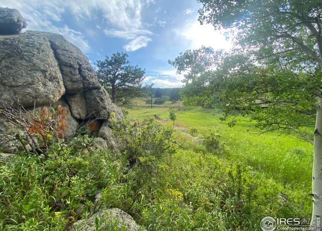 Property at 24 Hickok Trl, Ward, CO 80481