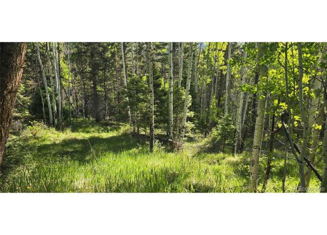 Property at 6385 Jaquez Rd, San Luis, CO 81152