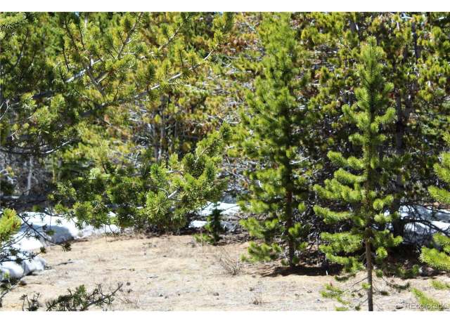 Property at 12 Lamartine Rd, Idaho Springs, CO 80452