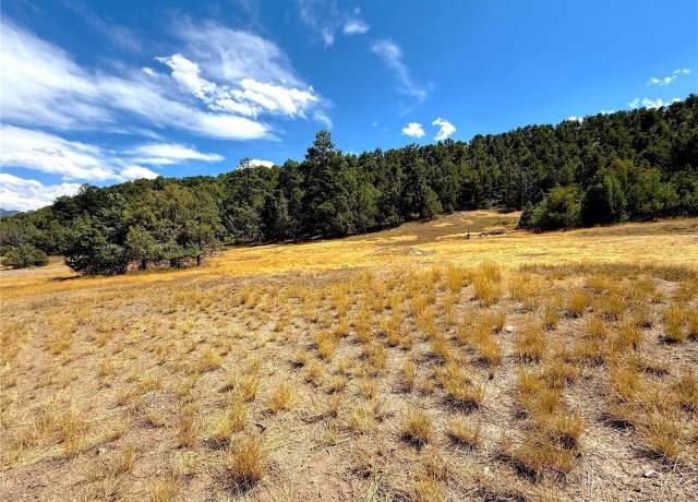 Property at West Creek - CR 48 Rd, Howard, CO 81233