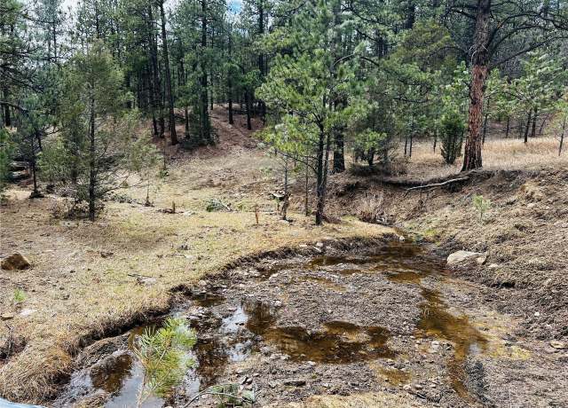 Property at 36 Logging Canyon Rd, Weston, CO 81091