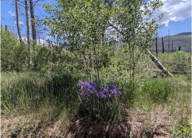 Property at 904 Ueda Pl & Forbes Park Rd, Fort Garland, CO 81133