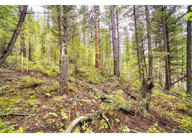 Property at 10862 Twin Spruce Rd, Golden, CO 80403