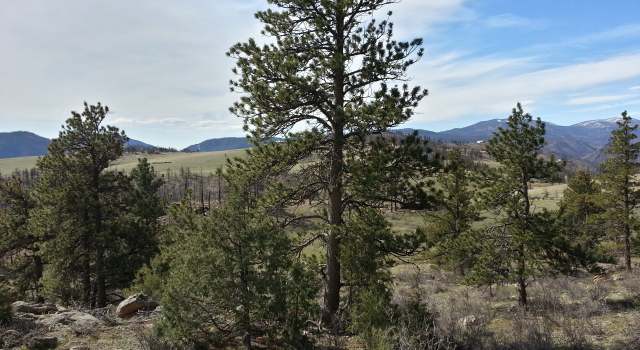 Photo of 159 Hide Out Ct, Livermore, CO 80536