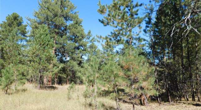 Photo of 2300 Senecio Cir, Larkspur, CO 80118