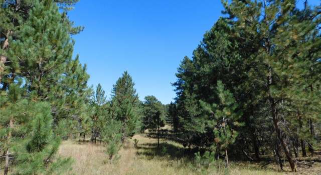 Photo of 2300 Senecio Cir, Larkspur, CO 80118