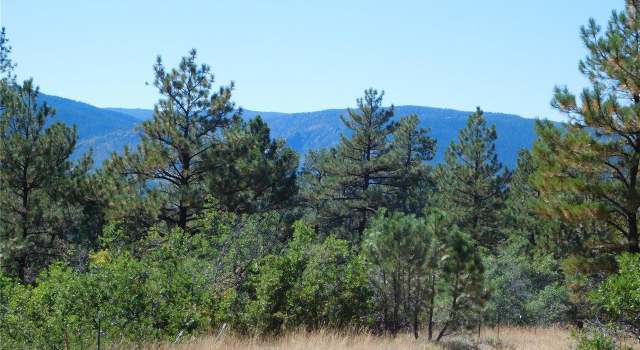 Photo of 2300 Senecio Cir, Larkspur, CO 80118