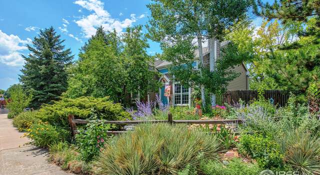 Photo of 705 Snowberry Ct, Lafayette, CO 80026