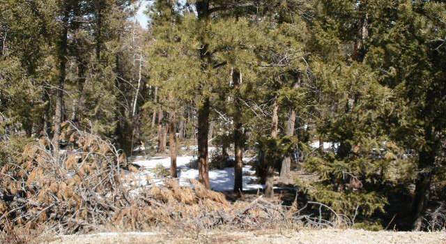 Photo of 1383 Bellows Rd, Hartsel, CO 80449