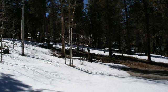 Photo of 1383 Bellows Rd, Hartsel, CO 80449