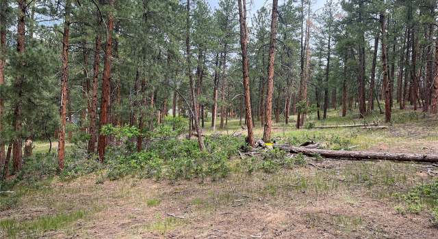 Photo of 5126 Bannock Way, Larkspur, CO 80118