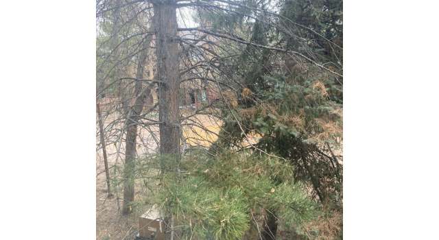 Photo of Undisclosed Address, Lakewood, CO 80228