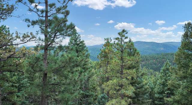 Photo of 2655 Elk Park Rd, Larkspur, CO 80118