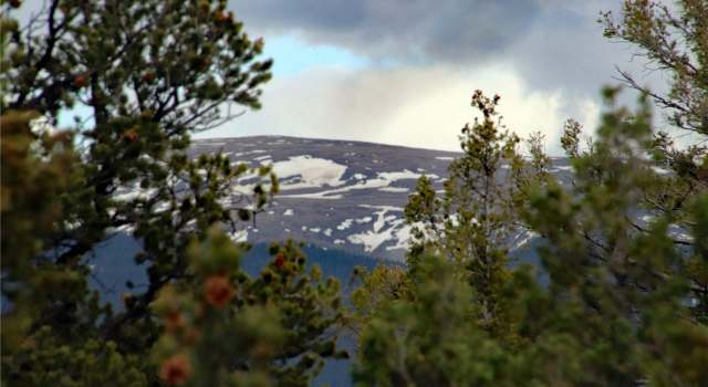 Photo of 60 Horseshoe Trl, San Luis, CO 81152
