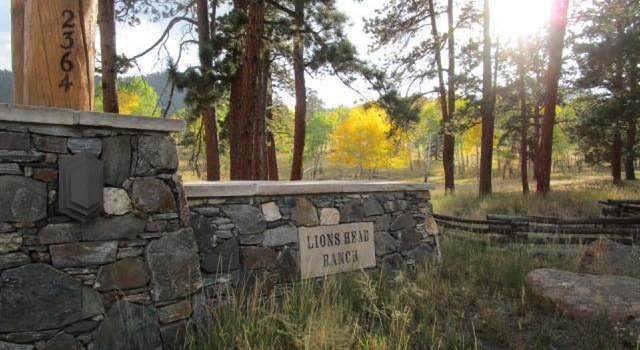 Photo of 628 Lions Head Ranch Rd, Pine, CO 80470