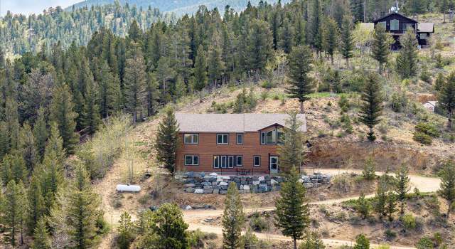 Photo of 64 Doe Trl, Nederland, CO 80466